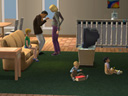 thumbnail_ed7b3373_2d7d88e5.jpg